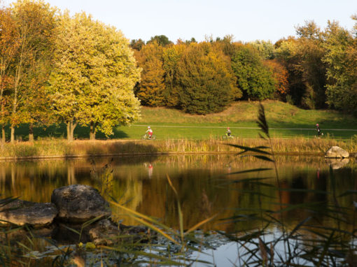 COM / Les parcs / Commande du Conseil Régional de Seine-Saint-Denis